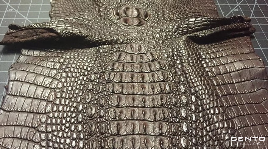 Phân loại da cá sấu và đặc tính từng loại